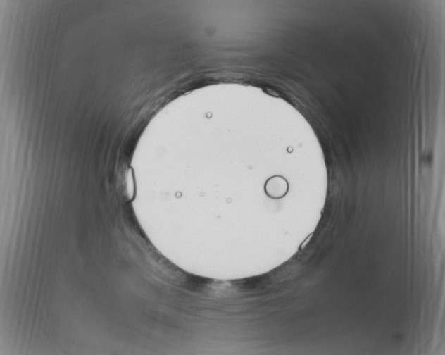 X0000111860425200909031755