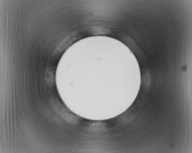 X0000111860426200909031755