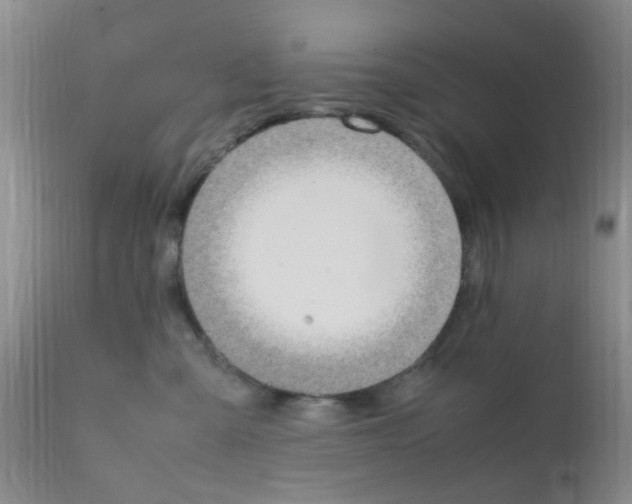 X0000111860427200909031755