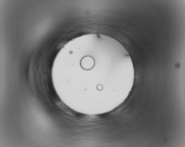 X0000111860429200909031755