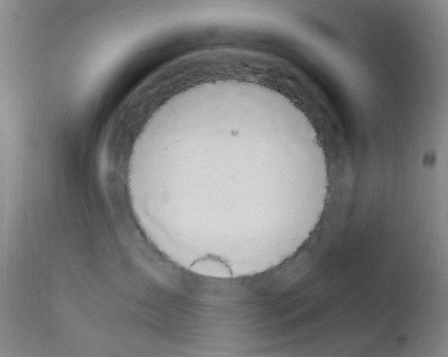 X0000111860431200909031755