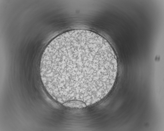 X0000111860433200909031755