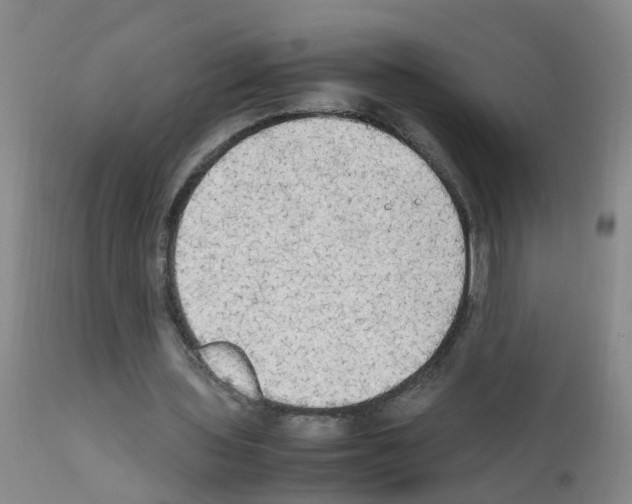 X0000111860435200909031755
