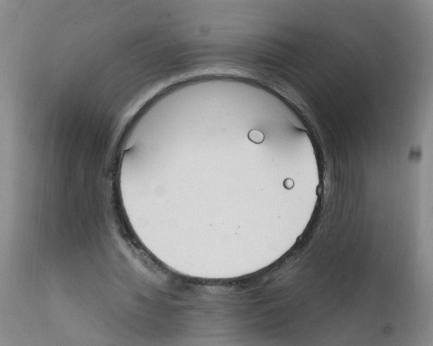 X0000111860436200909031755