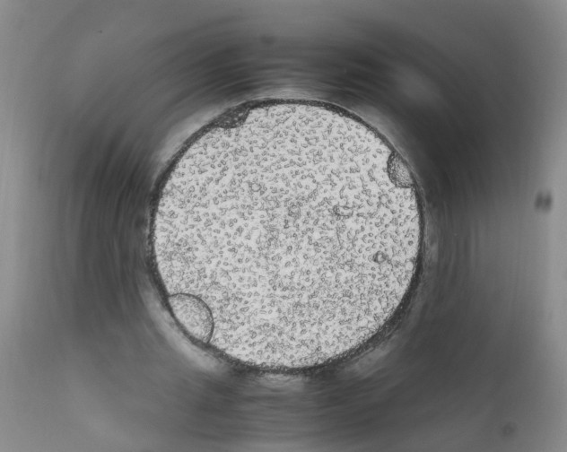 X0000111860437200909031755