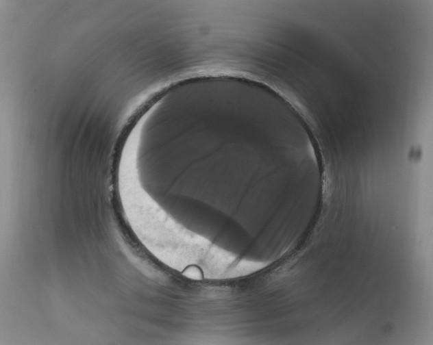 X0000111860438200909031755