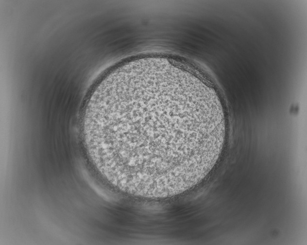 X0000111860439200909031755