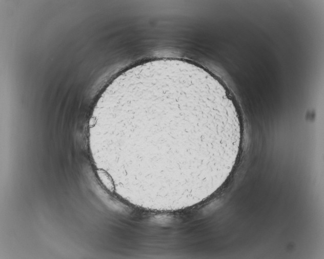 X0000111860441200909031755