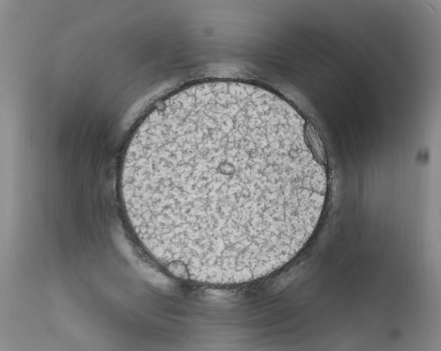 X0000111860442200909031755
