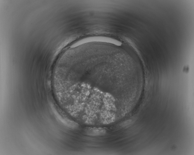 X0000111860443200909031755