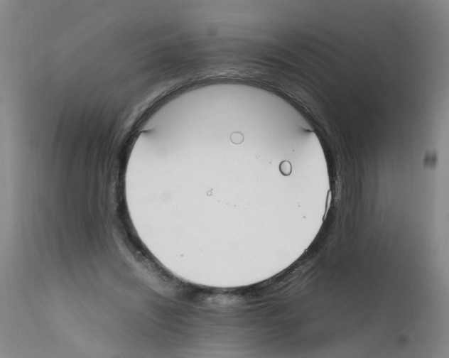 X0000111860444200909031755