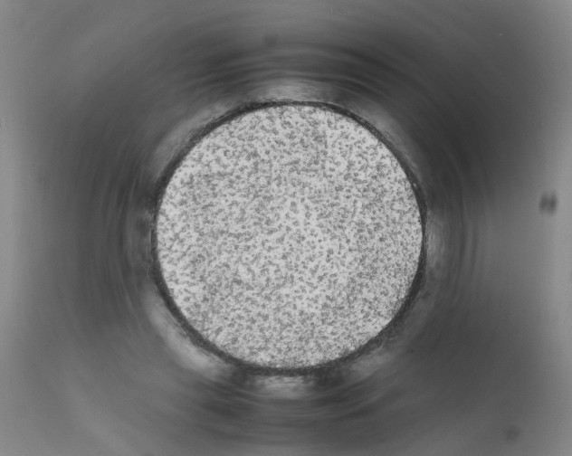 X0000111860445200909031755