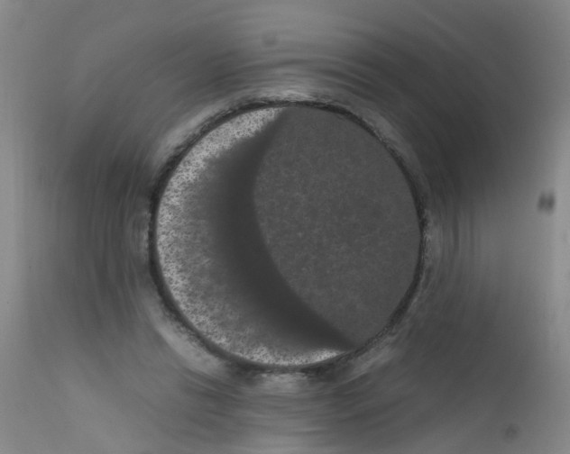 X0000111860446200909031755