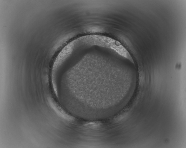 X0000111860447200909031755