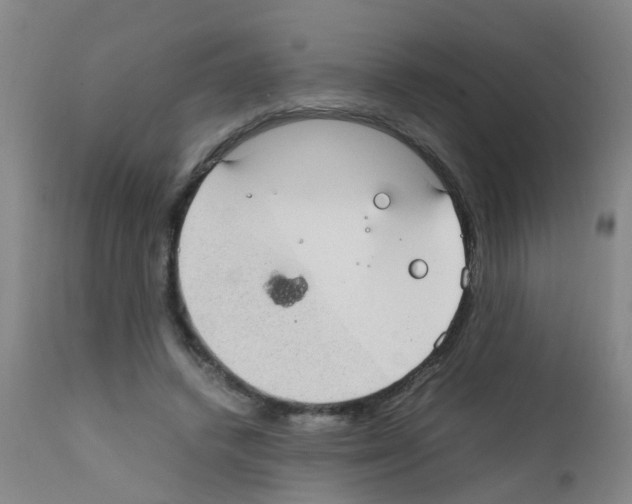 X0000111860448200909031755