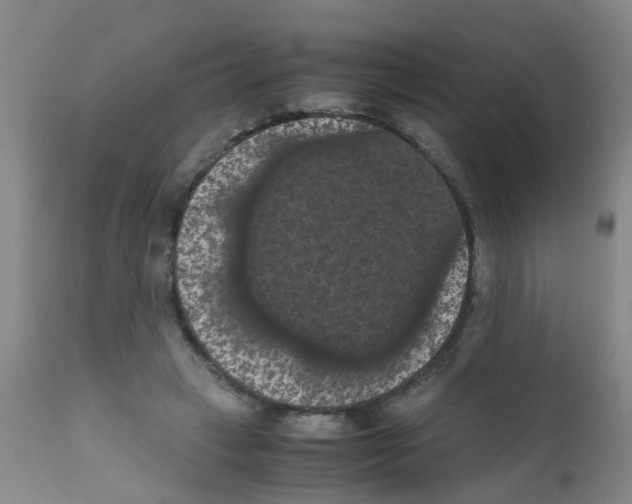X0000111860449200909031755