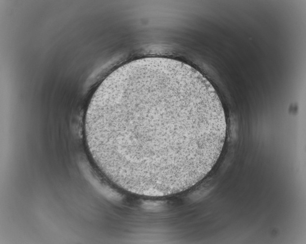 X0000111860450200909031755