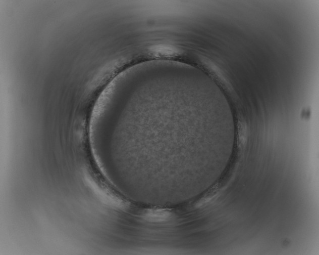 X0000111860451200909031755