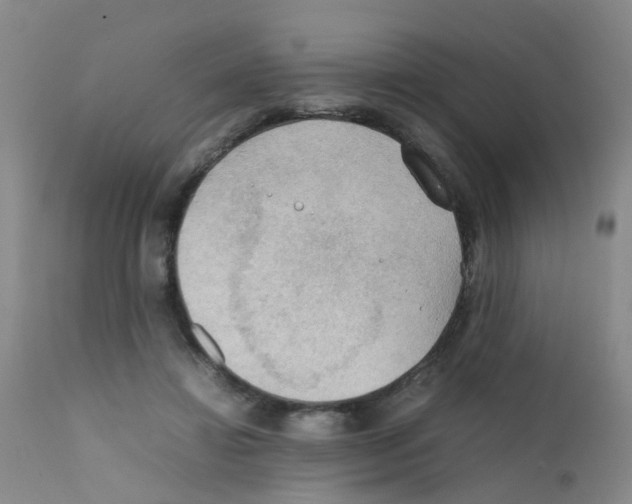 X0000111860452200909031755