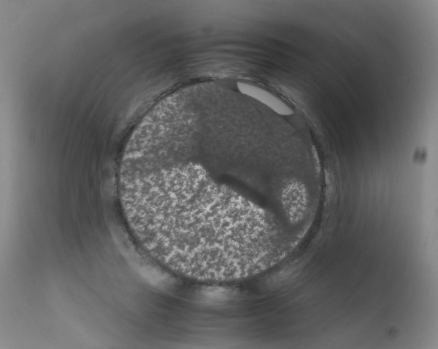 X0000111860453200909031755