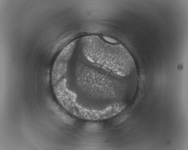 X0000111860454200909031755