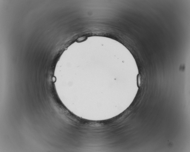 X0000111860456200909031755