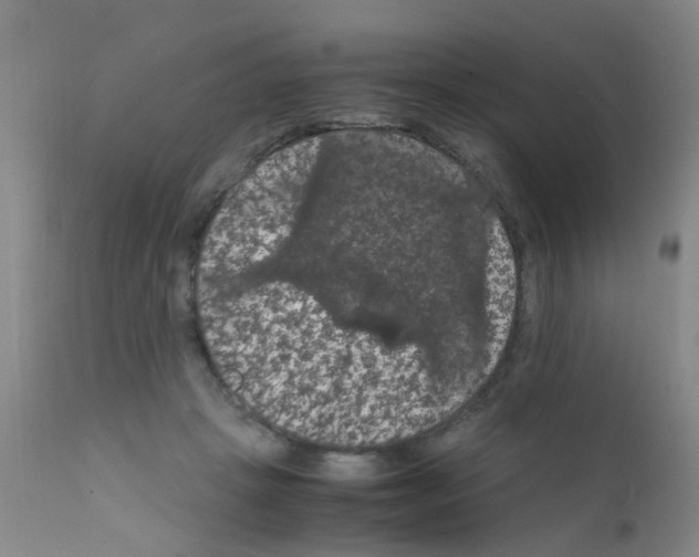 X0000111860457200909031755