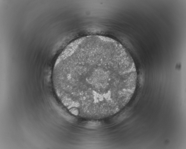 X0000111860458200909031755