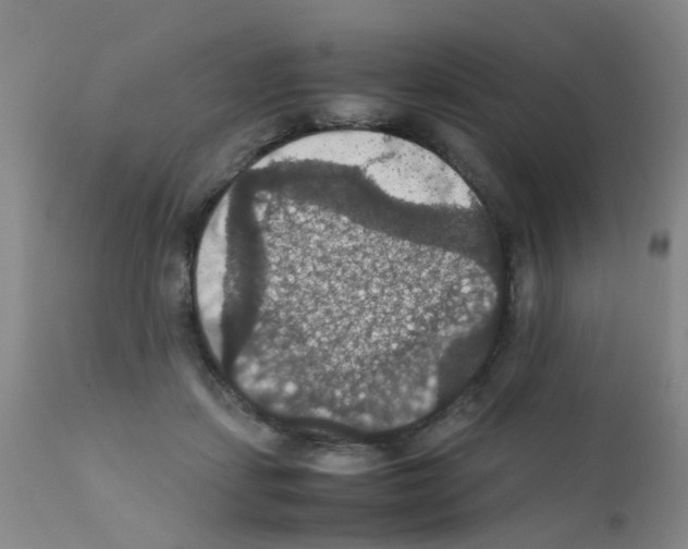 X0000111860459200909031755