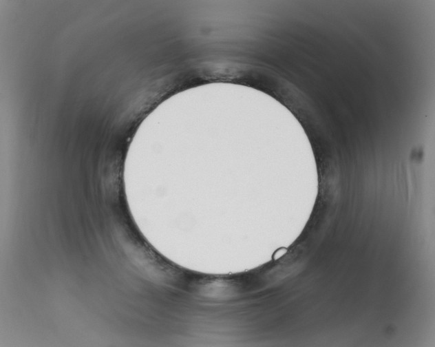 X0000111860460200909031755