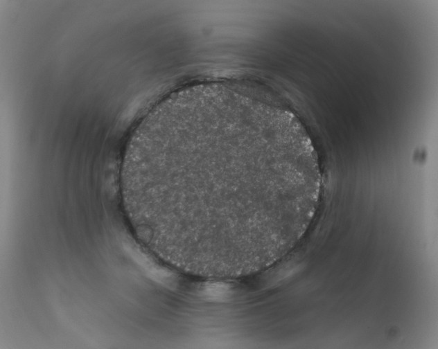 X0000111860462200909031755