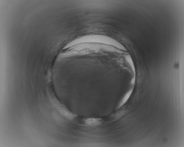 X0000111860465200909031755