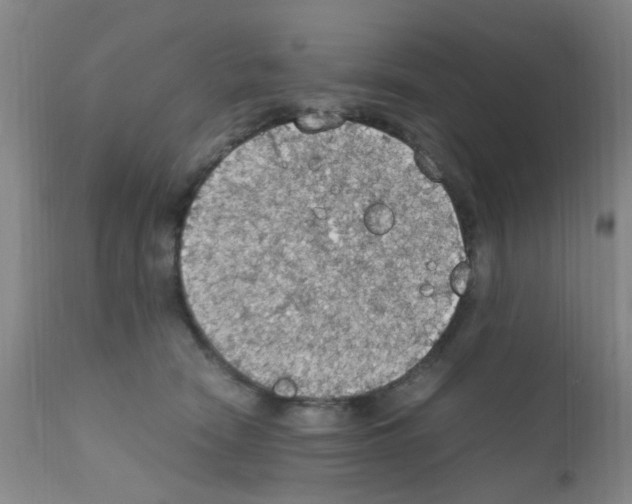 X0000111860466200909031755