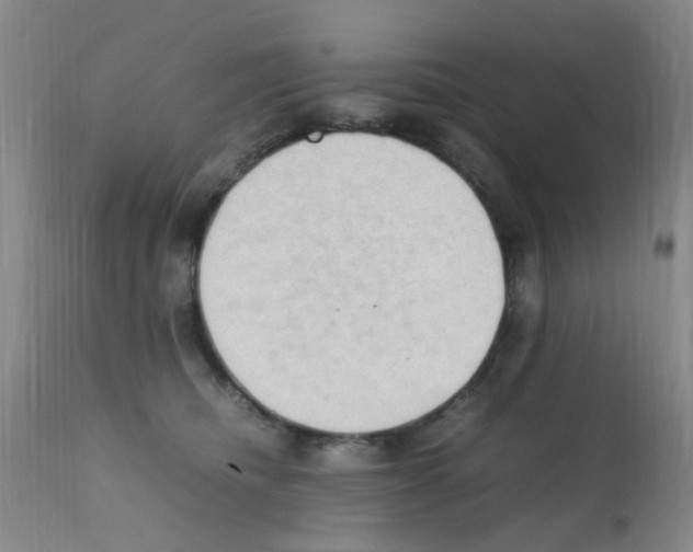 X0000111860468200909031755