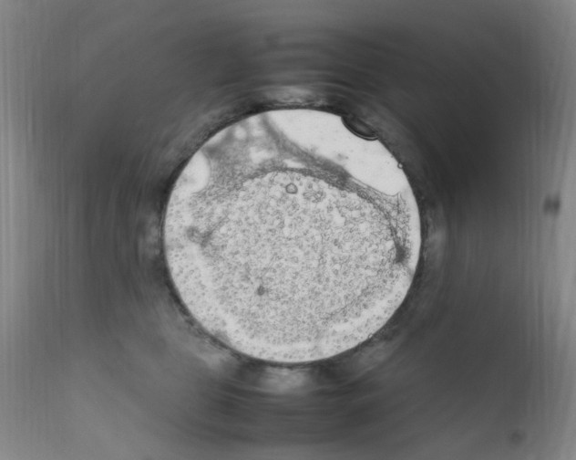 X0000111860469200909031755