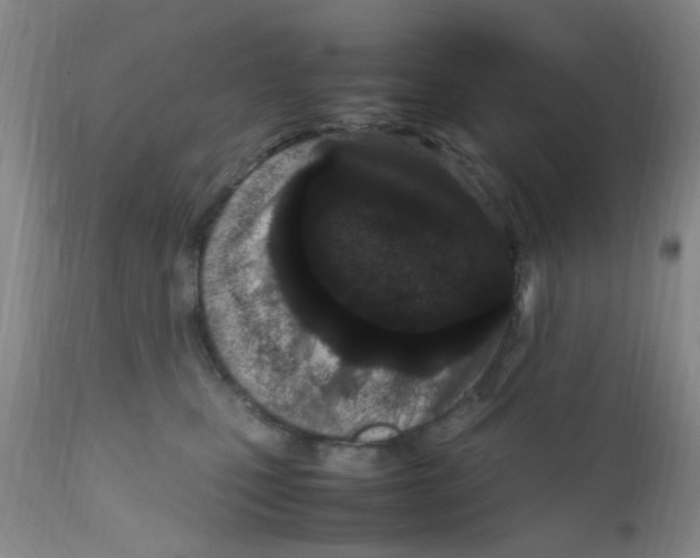 X0000111860471200909031755