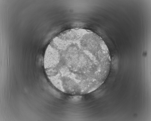 X0000111860474200909031755