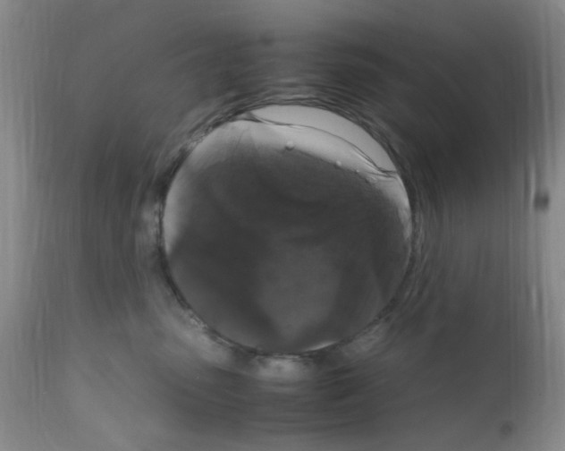 X0000111860475200909031755