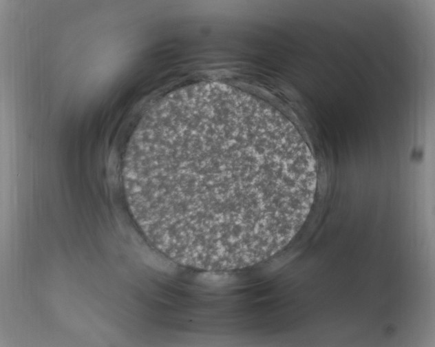 X0000111860477200909031755