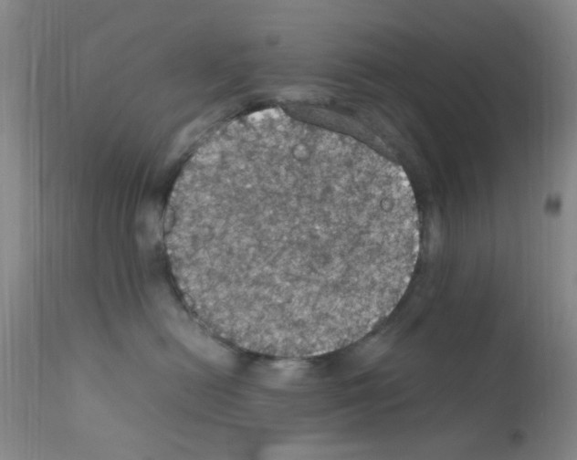 X0000111860478200909031755
