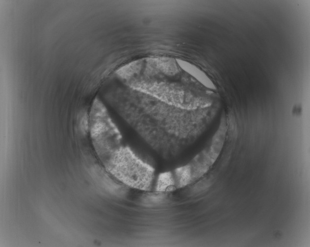 X0000111860479200909031755