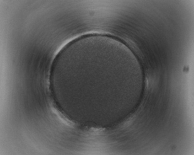 X0000111860484200909031755
