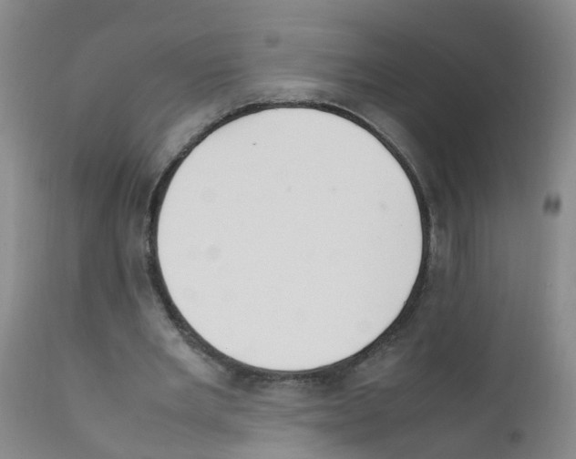 X0000111860485200909031755