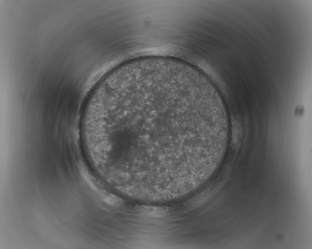 X0000111860486200909031755