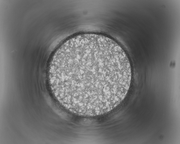 X0000111860487200909031755