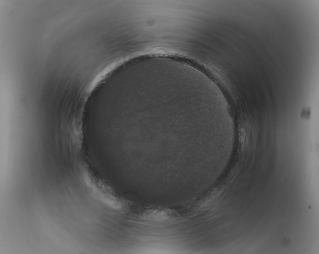 X0000111860488200909031755