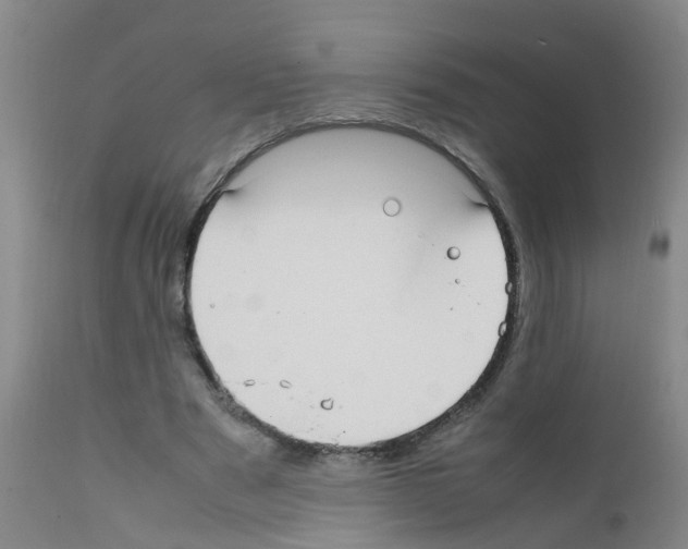 X0000111860489200909031755