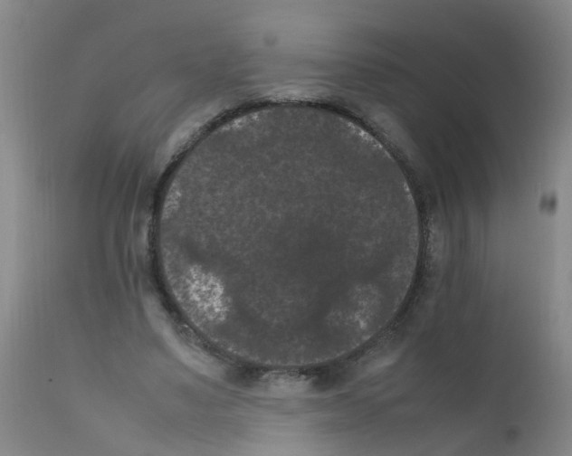 X0000111860491200909031755