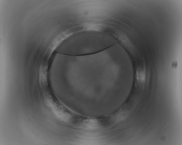 X0000111860492200909031755