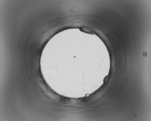 X0000111860493200909031754